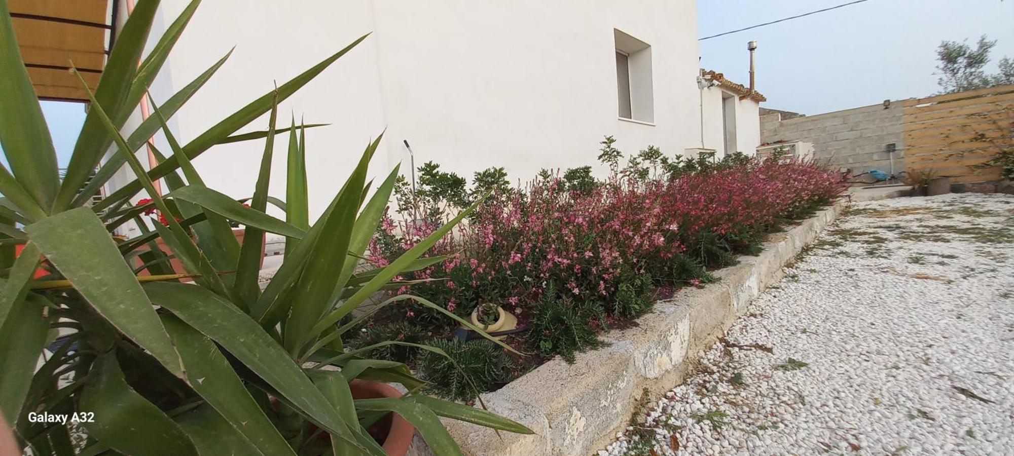 Almademari Giglio Casa Vacanza Pachino Kamer foto